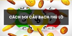 Soi Cầu Bạch Thủ Lô - Phương Pháp Soi Cầu Chính Xác Nhất